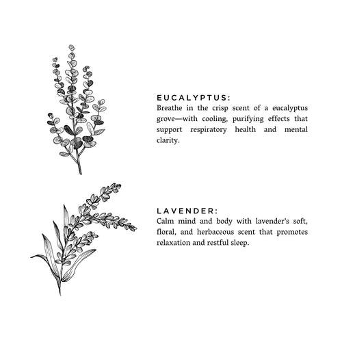 Eucalyptus + Lavender - Reed Diffuser
